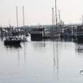 IMG_827847