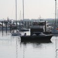 IMG_827848