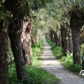 IMG_827850