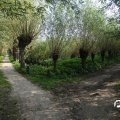 IMG_827851