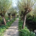 IMG_827854
