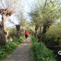 IMG_827855