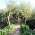 IMG_827856