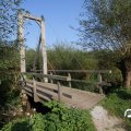 IMG_827859
