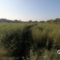IMG_827861