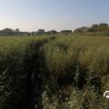 IMG_827862