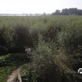 IMG_827864