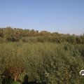 IMG_827865
