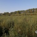 IMG_827866