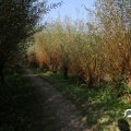 IMG_827874