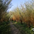 IMG_827875