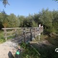 IMG_827881