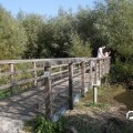 IMG_827883