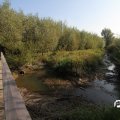 IMG_827884