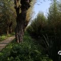 IMG_827888
