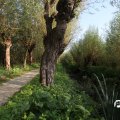 IMG_827889