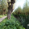 IMG_827890