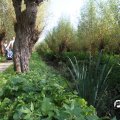 IMG_827893