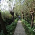 IMG_827898