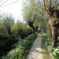 IMG_827899