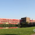 IMG_828856