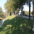 IMG_828866