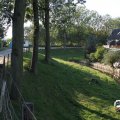 IMG_828868