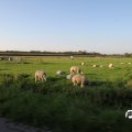 IMG_828915