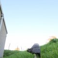 IMG_828931