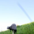 IMG_828933