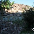 IMG_828939