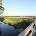 IMG_828965