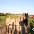 IMG_828977