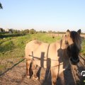 IMG_828978