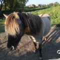 IMG_828987