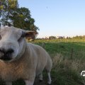 IMG_828991