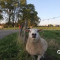 IMG_828996