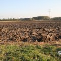 IMG_828998