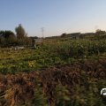 IMG_829001