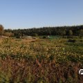IMG_829004