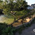 IMG_829013