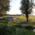 IMG_829021