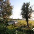 IMG_829026