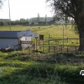 IMG_829029
