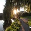 IMG_829058