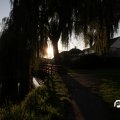 IMG_829059