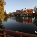 IMG_829064