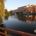 IMG_829065