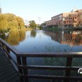 IMG_829073