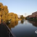 IMG_829079